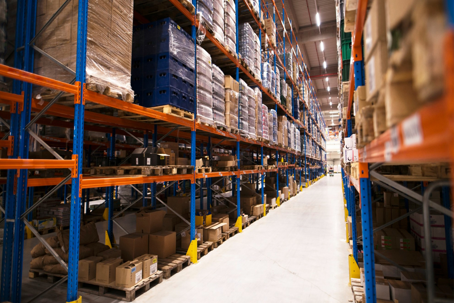 Warehousing & 3PL